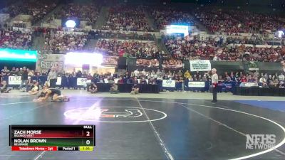 AA - 113 lbs 1st Place Match - Nolan Brown, Belgrade vs Zach Morse, Billings West