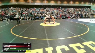 157 lbs Cons. Round 2 - Camden Bushey, Casa Grande vs Thayer Sabatke, Lakeland