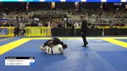 JESUS MIGUEL DELAO vs REGINALD COREY SMITH 2024 Pan Jiu Jitsu IBJJF Championship