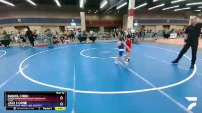 43 lbs Round 2 - Daniel Choo, Gracie Barra Westchase Wrestling Club vs Jake Horne, Texas Eagle Wrestling Academy