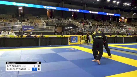 CRISTIAN V. AUGUSTO vs BRADLEY ONEIL STEINBORN 2024 Pan Jiu Jitsu IBJJF Championship