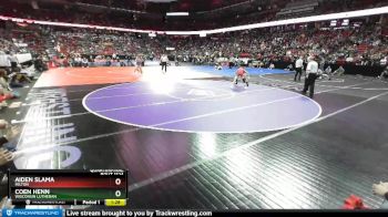 D1-120 lbs Quarterfinal - Coen Henn, Wisconsin Lutheran vs Aiden Slama, Milton