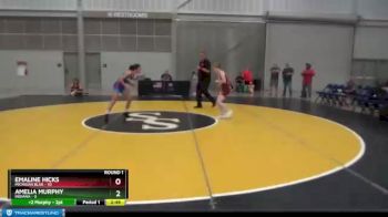 100 lbs Round 1 (8 Team) - Emaline Hicks, Michigan Blue vs Amelia Murphy, Indiana