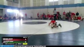 132 lbs Semis (4 Team) - Brysen Wood, New Palestine vs Jackson Hawk, Delta