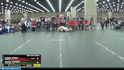 197 lbs Placement (4 Team) - Caden Friedt, Wabash vs Haven Tatarek, Castleton