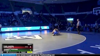 141 lbs Finals (2 Team) - Garrett Kuchan, Air Force vs Cael Happel, Northern Iowa