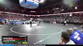 D3-132 lbs Quarterfinal - Mason Welsh, Iowa-Grant/Highland vs Trapper Nafzger, Mineral Point