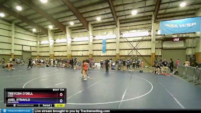 125 lbs Cons. Round 2 - Trinity Rakestraw, Oklahoma vs Kalina Hotema, Hawaii