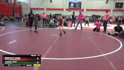 75 lbs Quarterfinal - Brentley Mabe, Brute Force Wrestling vs Aaron Jiles, Alpha Elite