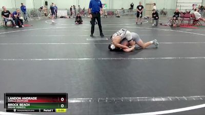 113 lbs 3rd Place Match - Darren Florance, Gorilla Grapplers vs Jack Gedney, Fisheye Wrestling