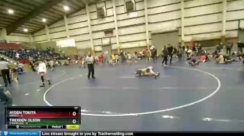 77 lbs Round 3 (4 Team) - Ayden Tokita, Idaho 1 vs Trexden Olson, Utah Black