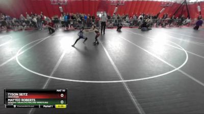 53 lbs Quarterfinal - Matteo Roberts, Monona Grove/McFarland Wrestling Club vs Tyson Seitz, Wisconsin