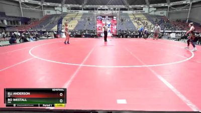 93 lbs Semifinal - Eli Anderson, SD vs Bo Westall, MN