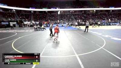 II-118 lbs Quarterfinal - Cade Sands, Addison vs Carmine Calimeri, Southwestern