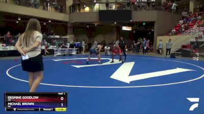 220 lbs Quarterfinal - Desmine Goodlow, AR vs Michael Brown, OK