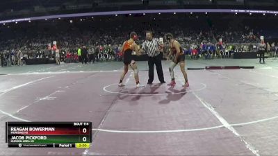 D4-150 lbs Quarterfinal - Jacob Pickford, Hudson Area HS vs Reagan Bowerman, Munising HS