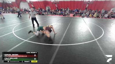 119 lbs Cons. Round 3 - Samuel Sikora, Stockton Renegades Wrestling Club vs Cale Wallace, Wisconsin