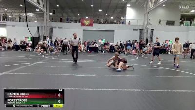 84 lbs Round 1 (4 Team) - Carter Lirgg, Terps Xtreme MS vs Forest Rose, Revival Black