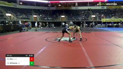 157 lbs Round Of 16 - Dan Ritz, Penn State WC vs Coltan Williams, North Texas