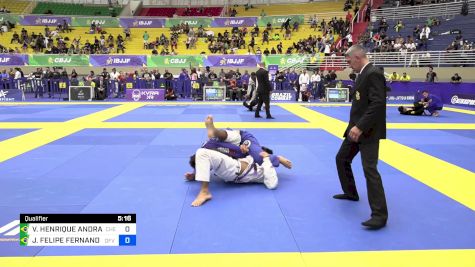 VINICIUS HENRIQUE ANDRADE vs JOÃO FELIPE FERNANDES DOS SANTOS 2024 Brasileiro Jiu-Jitsu IBJJF