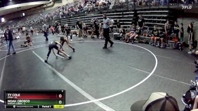 85 lbs Round 2 (6 Team) - Ty Cole, Utah vs Noah Orosco, Kansas Cobra