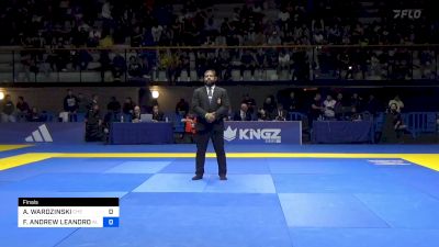 ADAM WARDZINSKI vs FELLIPE ANDREW LEANDRO SILVA 2024 European Jiu-Jitsu IBJJF Championship