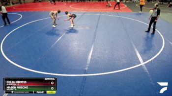 115 lbs Semis & 1st Wrestleback (8 Team) - Dylan Groess, Albert Lea vs Mason Moscho, Rocori