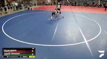 125 lbs Quarterfinals (8 Team) - Dylan Groess, Albert Lea vs Parker Armagost, GMLOS