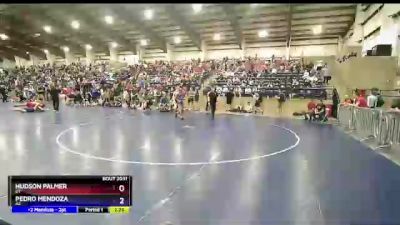 132 lbs Champ. Round 1 - Hudson Palmer, UT vs Pedro Mendoza, AZ