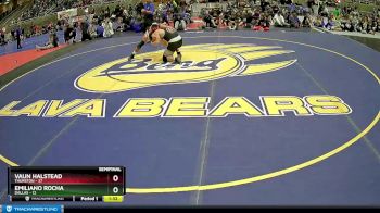 197 lbs Semis & 1st Wrestleback (8 Team) - Emiliano Rocha, Dallas vs Vaun Halstead, Thurston