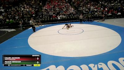 113 lbs Semifinal - Caleb Jackson, Maple Mountain vs Mason Bingham, Box Elder