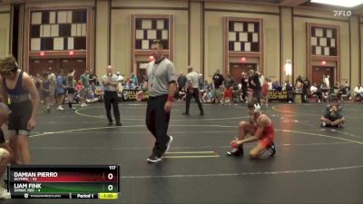 117 lbs Round 4 (6 Team) - Damian Pierro, Olympic vs Liam Fink, SVRWC Red