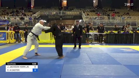 JEFFIE JACKSON HORN JR. vs CHRISTOPHER A EASTER 2024 Pan Jiu Jitsu IBJJF Championship
