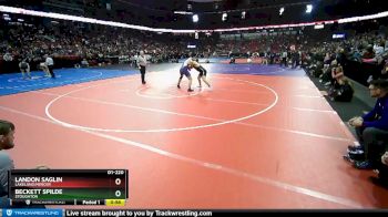 D1-220 lbs Cons. Round 1 - Landon Saglin, Lakeland/Mercer vs Beckett Spilde, Stoughton