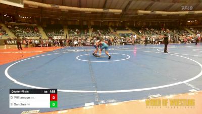 89 lbs Quarterfinal - Dylan Williamson, Sebolt Wrestling Academy vs Sammy Sanchez, Rough House