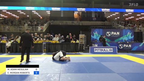 MATTHEW ADAM MESULAM vs ELI MORGAN ROBERTS 2024 Pan Jiu Jitsu IBJJF Championship