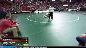 D2-145 lbs Quarterfinal - Tanner Halopka, Abbotsford/Colby vs Mason Tylee, Amery