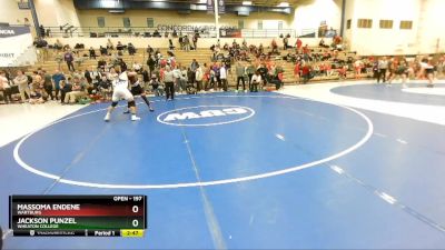 197 lbs 1st Place Match - Massoma Endene, Wartburg vs Jackson Punzel, Wheaton College