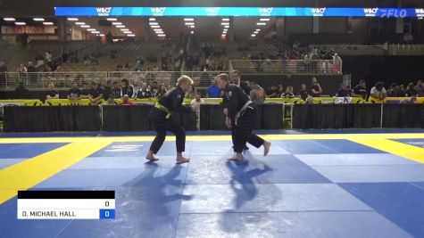 CHRISTOPHER PAUL SCHOCHLER vs DAYTON MICHAEL HALL 2024 Pan Jiu Jitsu IBJJF Championship