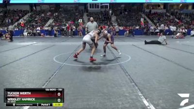 110 lbs Cons. Round 1 - Wrigley Hamrick, DC Gold vs Tucker Werth, Manhattan