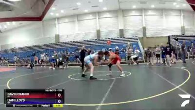 170 lbs Quarterfinal - Gavin Craner, MI vs Liam Lloyd, OH