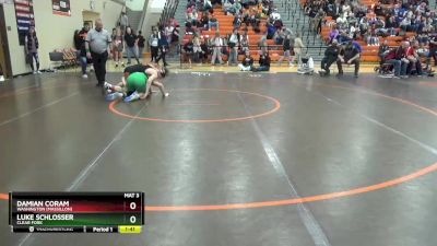 165 lbs Quarterfinal - Luke Schlosser, Clear Fork vs Damian Coram, Washington (Massillon)