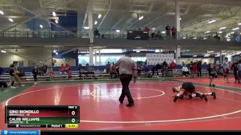 110 lbs Round 1 (8 Team) - Gino Biondillo, Brecksville vs Caleb Williams, Barberton