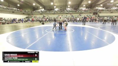 65 lbs Cons. Round 3 - David Briggs, Columbia Wrestling Club-AAA vs Nathan Robb, Harrisonville Youth Wrestling Club-AAA