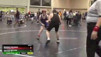 170 lbs Finals (2 Team) - Dalton Hellyer, Iowa Silver vs Rhodes Molenda, Missouri Gold