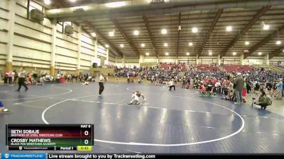 63 lbs Quarterfinal - Crosby Mathews, Black Fox Wrestling Academy vs Seth Sobaje, Brothers Of Steel Wrestling Club