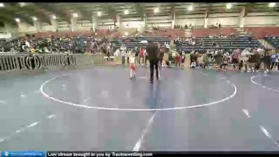 49 lbs Semifinal - Aiden Sanchez, Sanderson Wrestling Academy vs Nashy Yates, Champions Wrestling Club