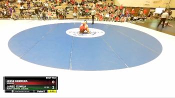 165 lbs Cons. Round 4 - Jesse Herrera, Wabash vs Jared Gumila, North Central College