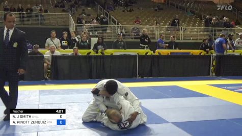 ANDREW J SMITH vs ALEXANDER PINOTT ZENQUIZ 2024 Pan Jiu Jitsu IBJJF Championship