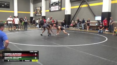 135 lbs Cons. Semi - Andrea Quinones, Summit Wrestling Academy vs Damiyah Williams, Female Elite Wrestling